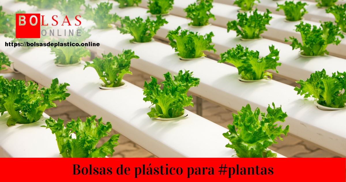 Bolsas de plástico para plantas