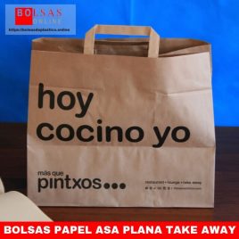 Bolsas papel asa plana take away