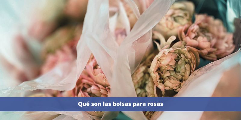 Bolsas para rosas