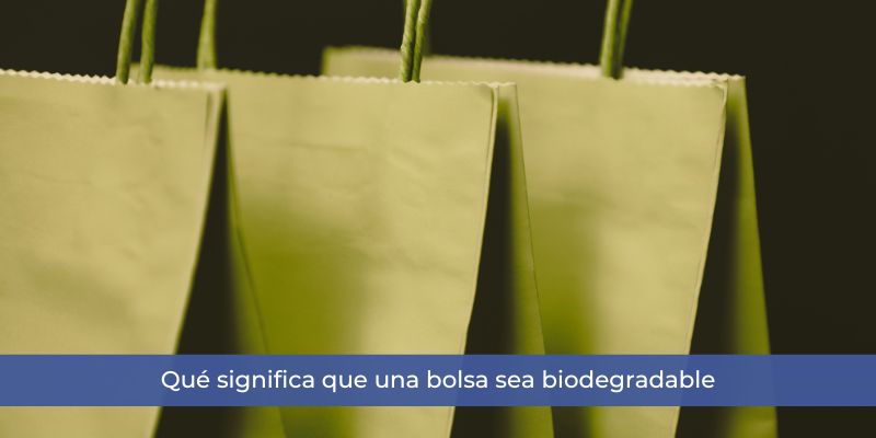 bolsas reutilizables