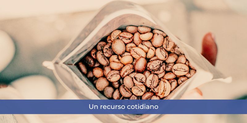 bolsas Zip con bandas